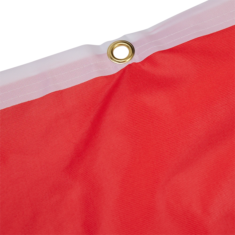 Hissfahne Logo rot - 150 x 400