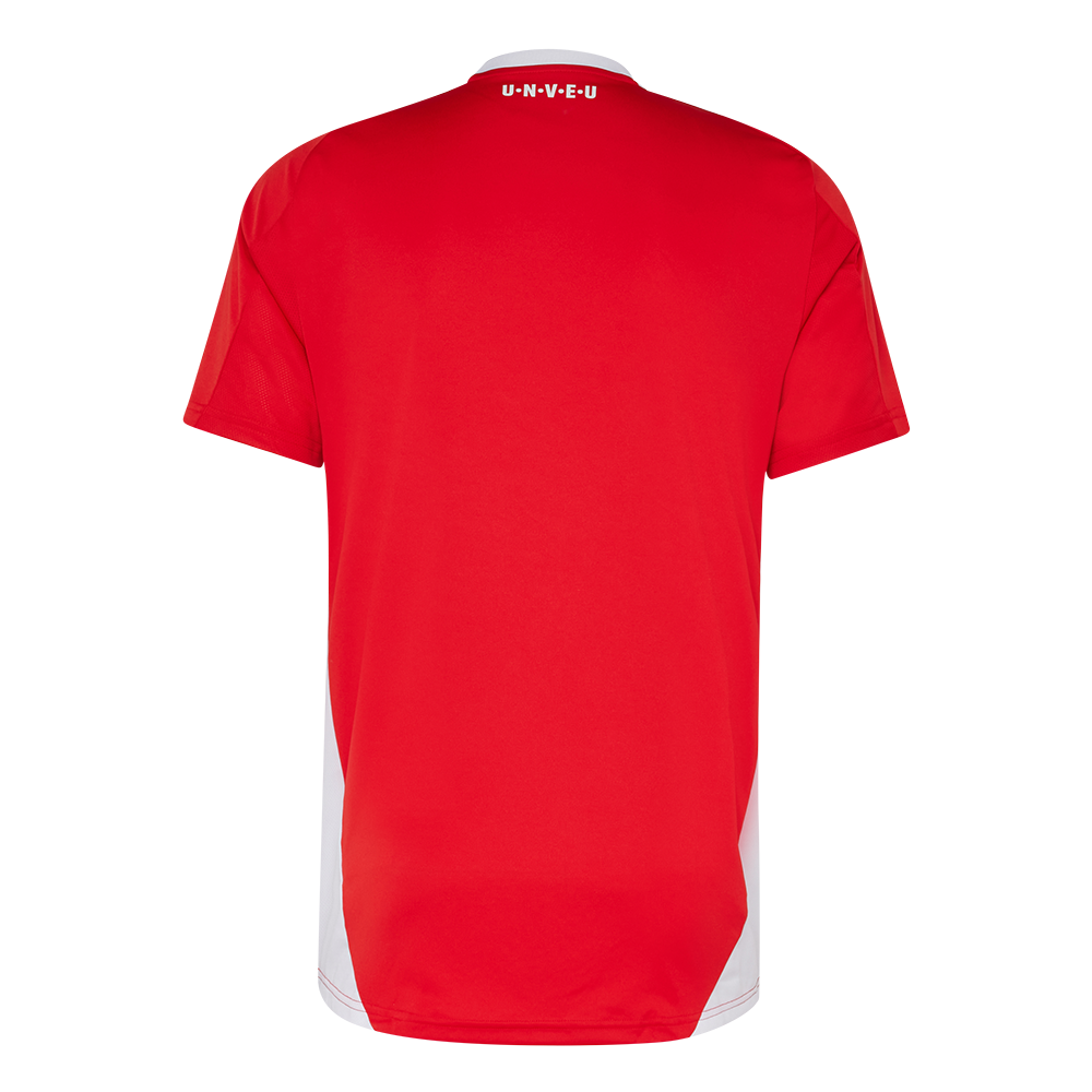 adidas Trainingsshirt - rot Team 24/25